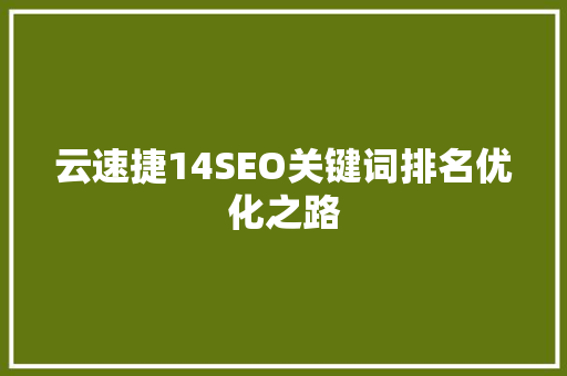 云速捷14SEO关键词排名优化之路