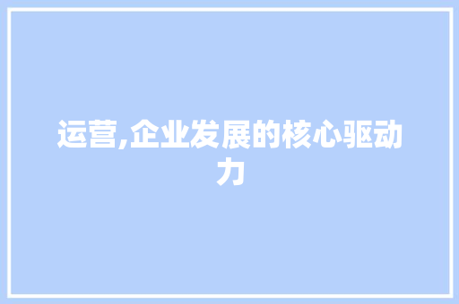 运营,企业发展的核心驱动力 运营,企业发展的核心驱动力 seo技术