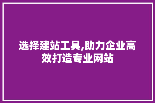 选择建站工具,助力企业高效打造专业网站
