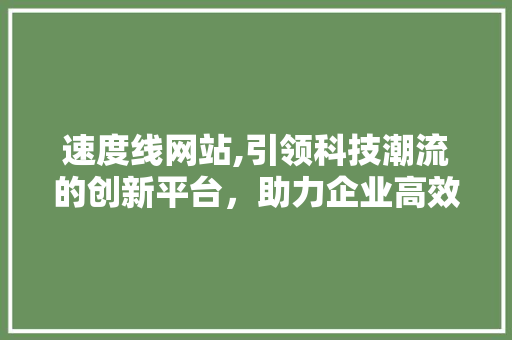 速度线网站,引领科技潮流的创新平台，助力企业高效发展