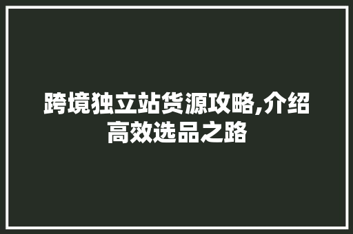 跨境独立站货源攻略,介绍高效选品之路 跨境独立站货源攻略,介绍高效选品之路 网站优化