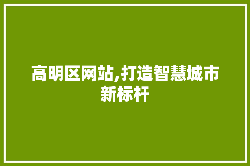 高明区网站,打造智慧城市新标杆
