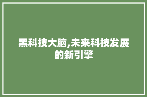 黑科技大脑,未来科技发展的新引擎 AI技术学习 黑科技大脑,未来科技发展的新引擎 黑科技大脑,未来科技发展的新引擎 AI技术学习