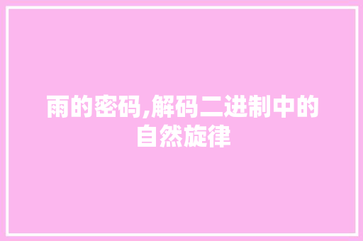 雨的密码,解码二进制中的自然旋律