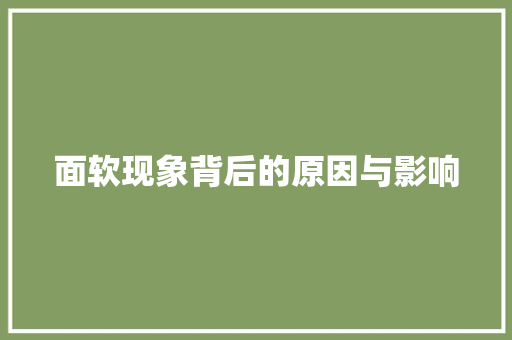 面软现象背后的原因与影响