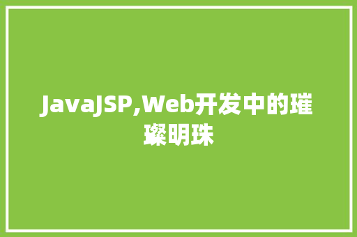 JavaJSP,Web开发中的璀璨明珠 JavaJSP,Web开发中的璀璨明珠 网站优化