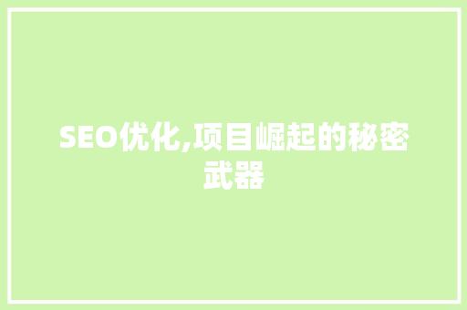 SEO优化,项目崛起的秘密武器 SEO优化,项目崛起的秘密武器 网站优化