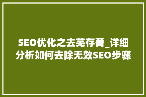 SEO优化之去芜存菁_详细分析如何去除无效SEO步骤 SEO优化之去芜存菁_详细分析如何去除无效SEO步骤 网站优化