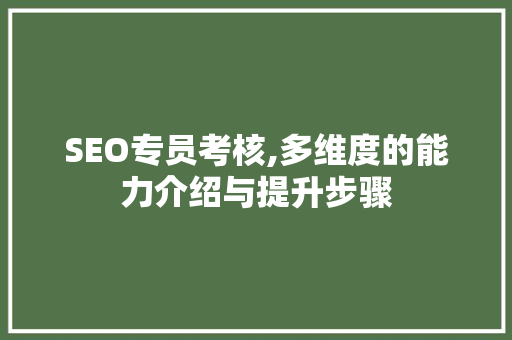 SEO专员考核,多维度的能力介绍与提升步骤