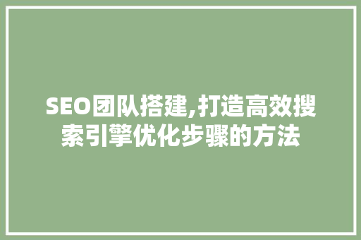 SEO团队搭建,打造高效搜索引擎优化步骤的方法 SEO团队搭建,打造高效搜索引擎优化步骤的方法 小程序开发