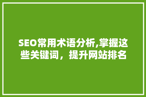 SEO常用术语分析,掌握这些关键词，提升网站排名 SEO常用术语分析,掌握这些关键词，提升网站排名 百度算法