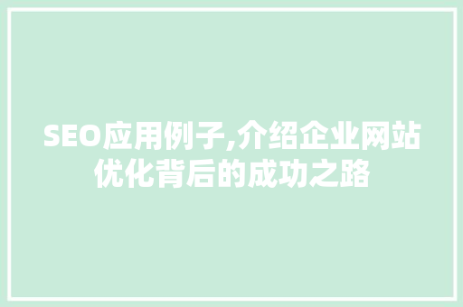 SEO应用例子,介绍企业网站优化背后的成功之路