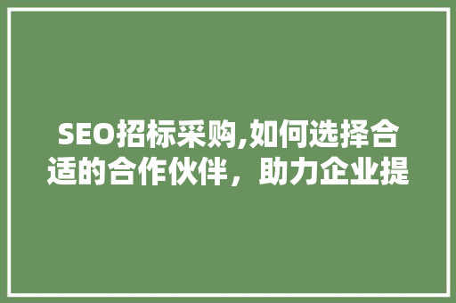 SEO招标采购,如何选择合适的合作伙伴，助力企业提升网络竞争力 SEO招标采购,如何选择合适的合作伙伴，助力企业提升网络竞争力 搜狗优化
