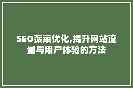SEO菠菜优化,提升网站流量与用户体验的方法