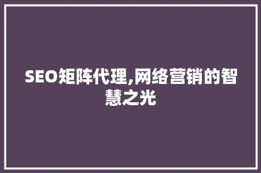SEO矩阵代理,网络营销的智慧之光 SEO矩阵代理,网络营销的智慧之光 AI技术学习