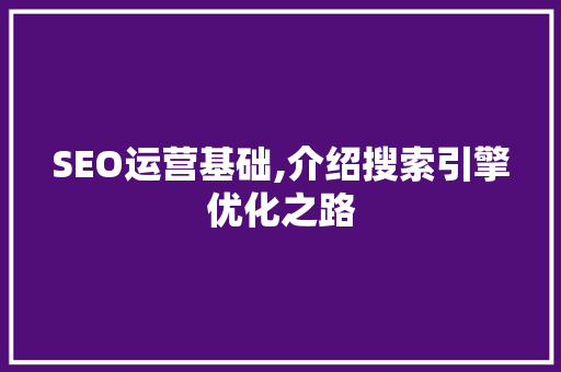 SEO运营基础,介绍搜索引擎优化之路 SEO运营基础,介绍搜索引擎优化之路 AI技术学习