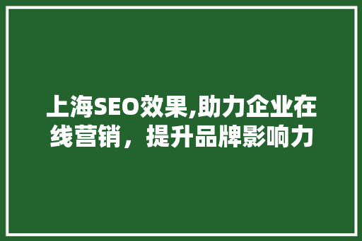上海SEO效果,助力企业在线营销，提升品牌影响力 上海SEO效果,助力企业在线营销，提升品牌影响力 网站优化