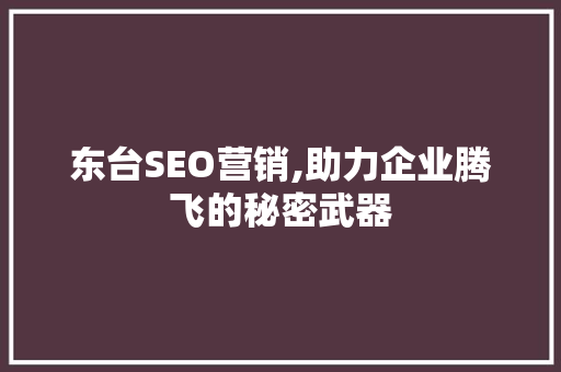 东台SEO营销,助力企业腾飞的秘密武器
