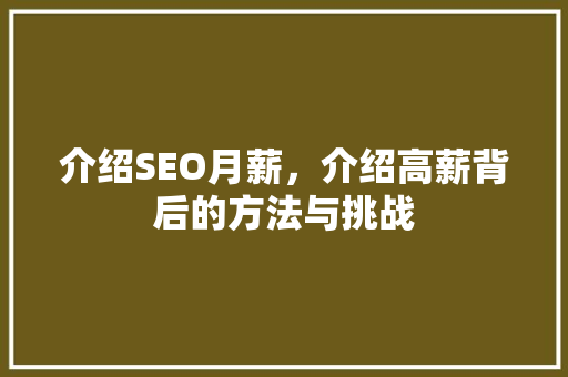 介绍SEO月薪，介绍高薪背后的方法与挑战 介绍SEO月薪，介绍高薪背后的方法与挑战 网站优化
