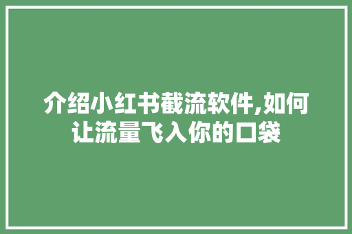 介绍小红书截流软件,如何让流量飞入你的口袋 介绍小红书截流软件,如何让流量飞入你的口袋 英文谷歌算法