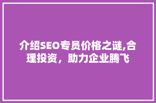 介绍SEO专员价格之谜,合理投资，助力企业腾飞