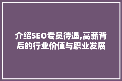 介绍SEO专员待遇,高薪背后的行业价值与职业发展