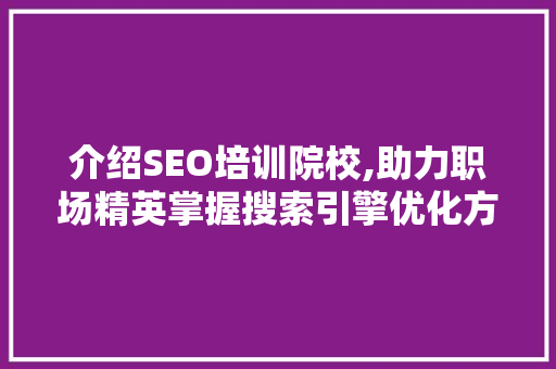 介绍SEO培训院校,助力职场精英掌握搜索引擎优化方法