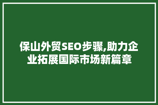 保山外贸SEO步骤,助力企业拓展国际市场新篇章