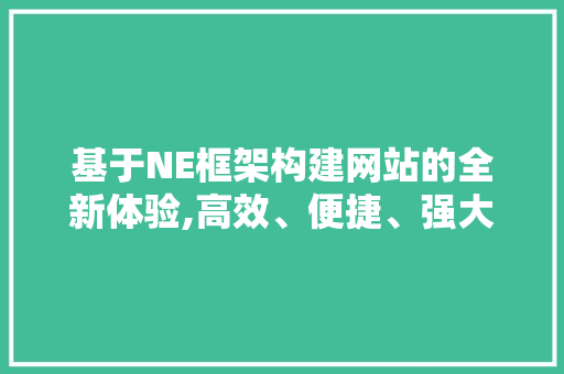 基于NE框架构建网站的全新体验,高效、便捷、强大