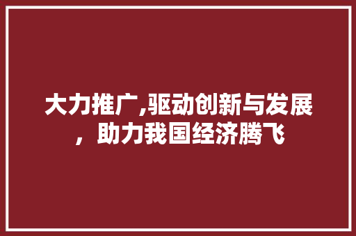 大力推广,驱动创新与发展，助力我国经济腾飞 大力推广,驱动创新与发展，助力我国经济腾飞 英文谷歌算法