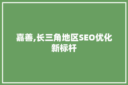 嘉善,长三角地区SEO优化新标杆