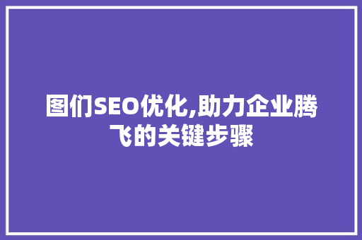 图们SEO优化,助力企业腾飞的关键步骤