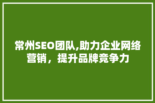 常州SEO团队,助力企业网络营销，提升品牌竞争力 常州SEO团队,助力企业网络营销，提升品牌竞争力 网站开发