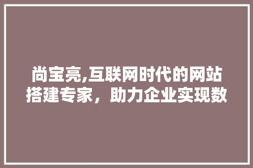 尚宝亮,互联网时代的网站搭建专家，助力企业实现数字化转型 尚宝亮,互联网时代的网站搭建专家，助力企业实现数字化转型 搜狗优化