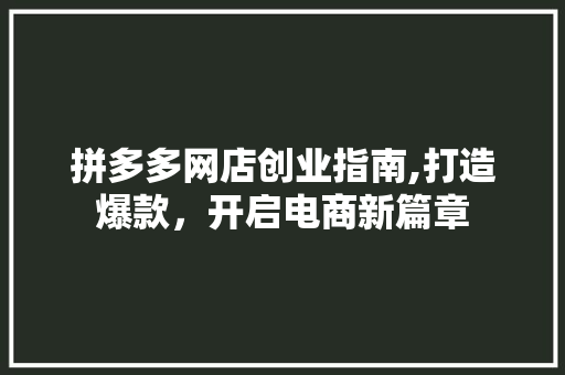 拼多多网店创业指南,打造爆款，开启电商新篇章 拼多多网店创业指南,打造爆款，开启电商新篇章 网站开发