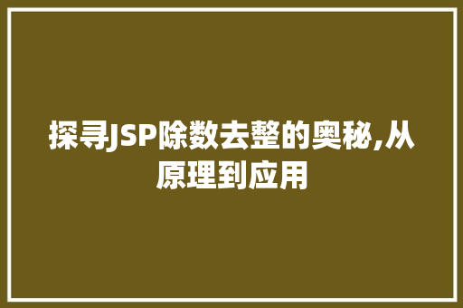 探寻JSP除数去整的奥秘,从原理到应用