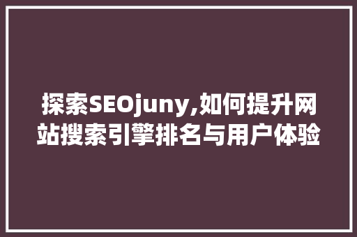 探索SEOjuny,如何提升网站搜索引擎排名与用户体验