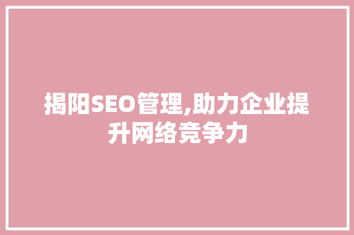 揭阳SEO管理,助力企业提升网络竞争力