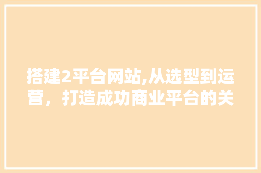 搭建2平台网站,从选型到运营，打造成功商业平台的关键步骤