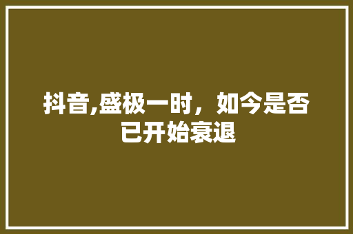 抖音,盛极一时，如今是否已开始衰退