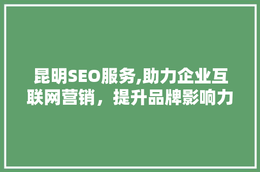 昆明SEO服务,助力企业互联网营销，提升品牌影响力
