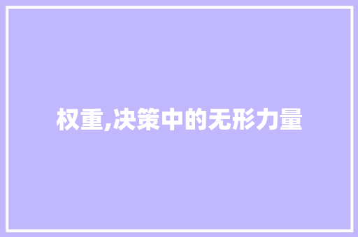 权重,决策中的无形力量