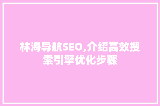 林海导航SEO,介绍高效搜索引擎优化步骤