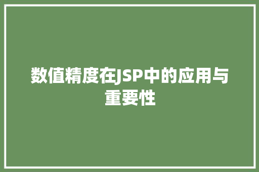 数值精度在JSP中的应用与重要性