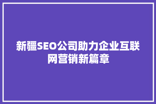 新疆SEO公司助力企业互联网营销新篇章