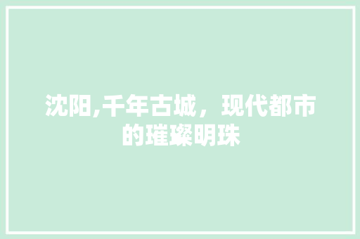 沈阳,千年古城，现代都市的璀璨明珠