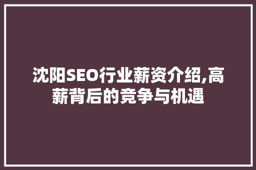沈阳SEO行业薪资介绍,高薪背后的竞争与机遇 沈阳SEO行业薪资介绍,高薪背后的竞争与机遇 搜狗优化