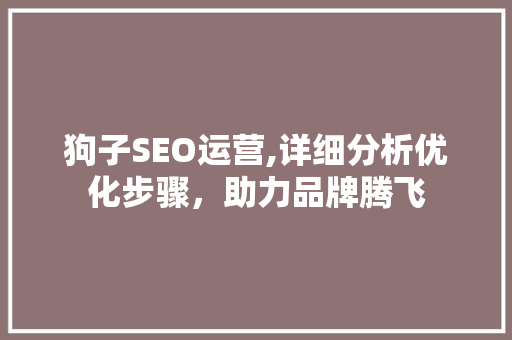 狗子SEO运营,详细分析优化步骤，助力品牌腾飞 狗子SEO运营,详细分析优化步骤，助力品牌腾飞 网站优化
