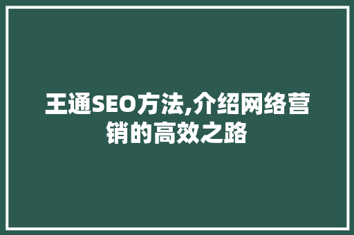 王通SEO方法,介绍网络营销的高效之路