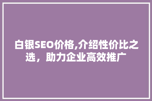 白银SEO价格,介绍性价比之选，助力企业高效推广